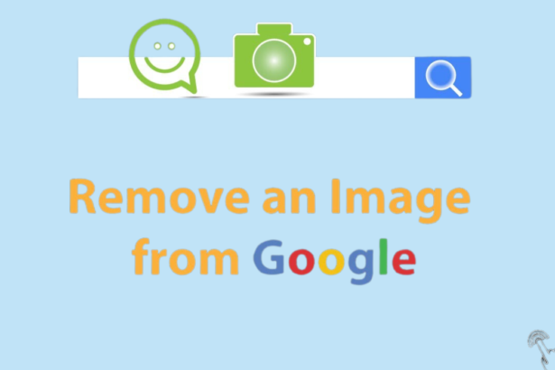 Google Updates Image Removal Documentation
